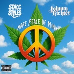 More Peace Of Mind - Single
