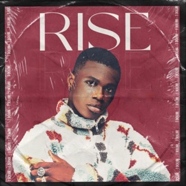 Rise T. Dollar