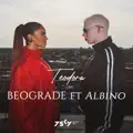 Beograde