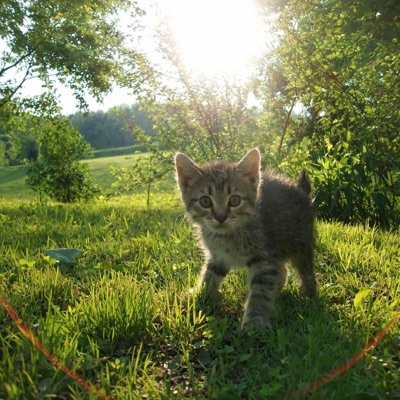 2 steps closer (feat. Corvid) - Single