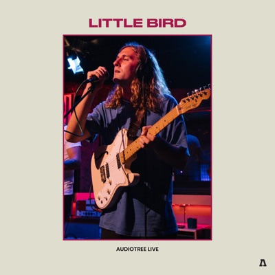 Little Bird (Audiotree Live) - EP