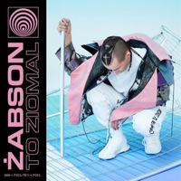 Album cover for To ziomal by Żabson