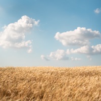 לישון בעמידה (אקוסטי) - Single - Full Trunk