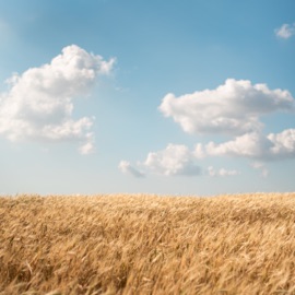 לישון בעמידה (אקוסטי) Full Trunk