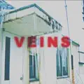 Veins