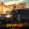 Greyhound - Single