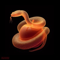 Psyche - Single - Skycabin