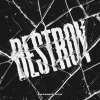 DESTROY - Single - Karashnikov