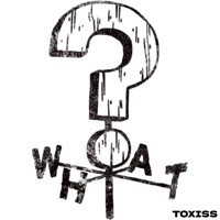 MYSTERY SHACK - TOXISS