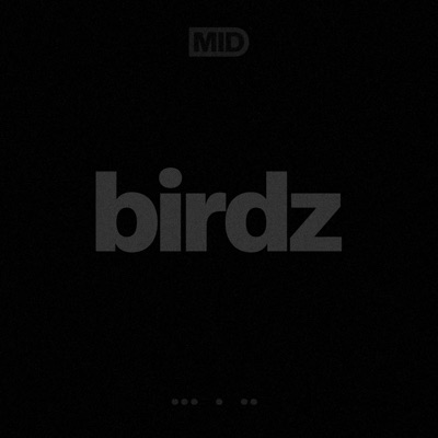birdz - Single