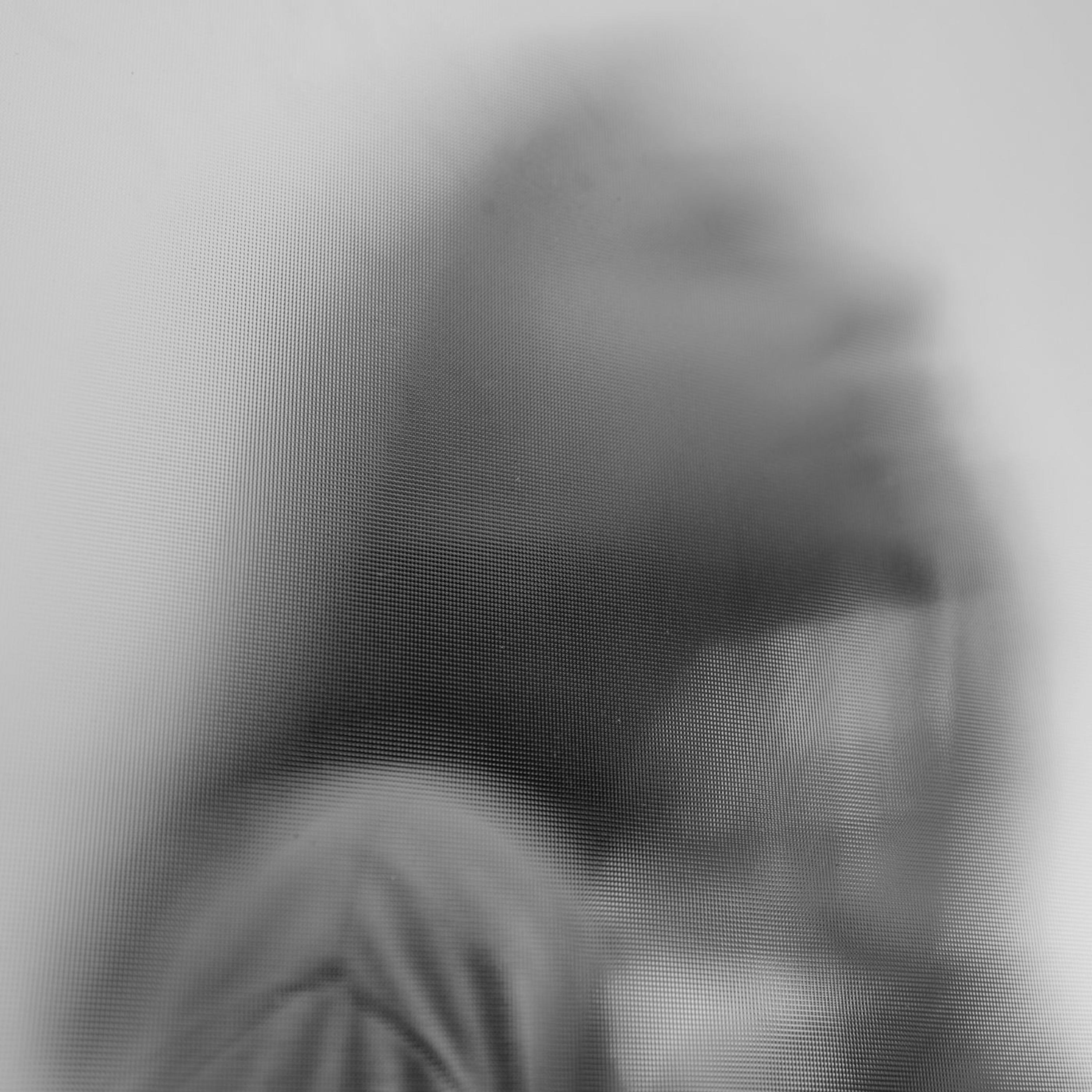 Visions Of Grace - Single