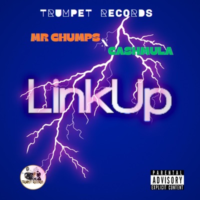 Link Up (feat. Cashmula) - Single