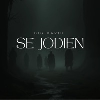 Se Jodien - Single - Big David