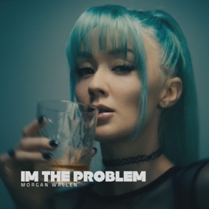 I'm The Problem - Single