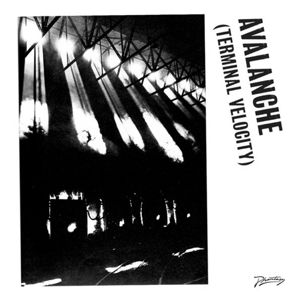 Avalanche (Terminal Velocity) [feat. Jarvis Cocker]