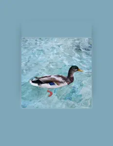 Listen to CARSEY BEATS, watch music videos, read bio, see tour dates & more!