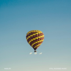 PDA Nuelzo & Still Blessed Music