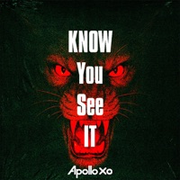 Know You See It (Remix) - Single - Apollo Xo