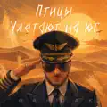 Птицы улетают на юг