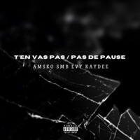 T'EN VAS PAS (feat. Evy, Kaydee Nfk & Amsko) - Single - Hyoan Smb