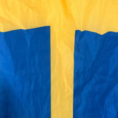 Stå upp för Sverige (Special Beach Version)