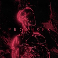 Promises - Single - Luke More & Nvro