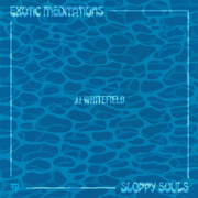 Exotic Meditations/Sloppy Souls - JJ Whitefield