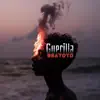 Guerilla