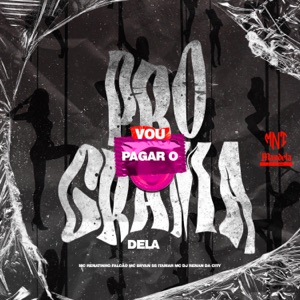 Vou Pagar o Programa Dela (feat. Itamar Mc)