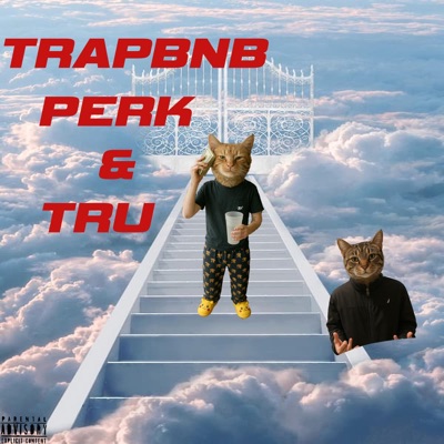 TrapBnb (feat. Tru) - Single