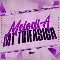 Melodia MT Trifasica - Single - DJ ANDREX, Mc Negão VHF & MC MENOR JF