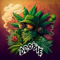 Doobie - Single - Tim Robb