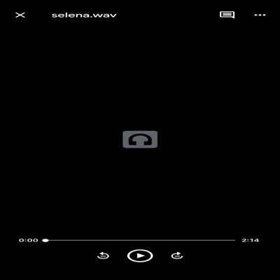 selena - Single
