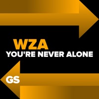 You're Never Alone - Single - WZA