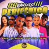 Bandido Periférico (feat. Mc Rd, Mc Mary Maii & DJ Biel Bolado) - Single