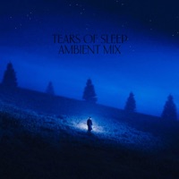 TEARS OF SLEEP AMBIENT MIX - ønyxi