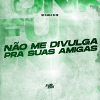Não Me Divulga pra Suas Amigas - Single - MC Xang