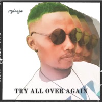 TRY ALL OVER AGAIN - EP - ZYLONSA