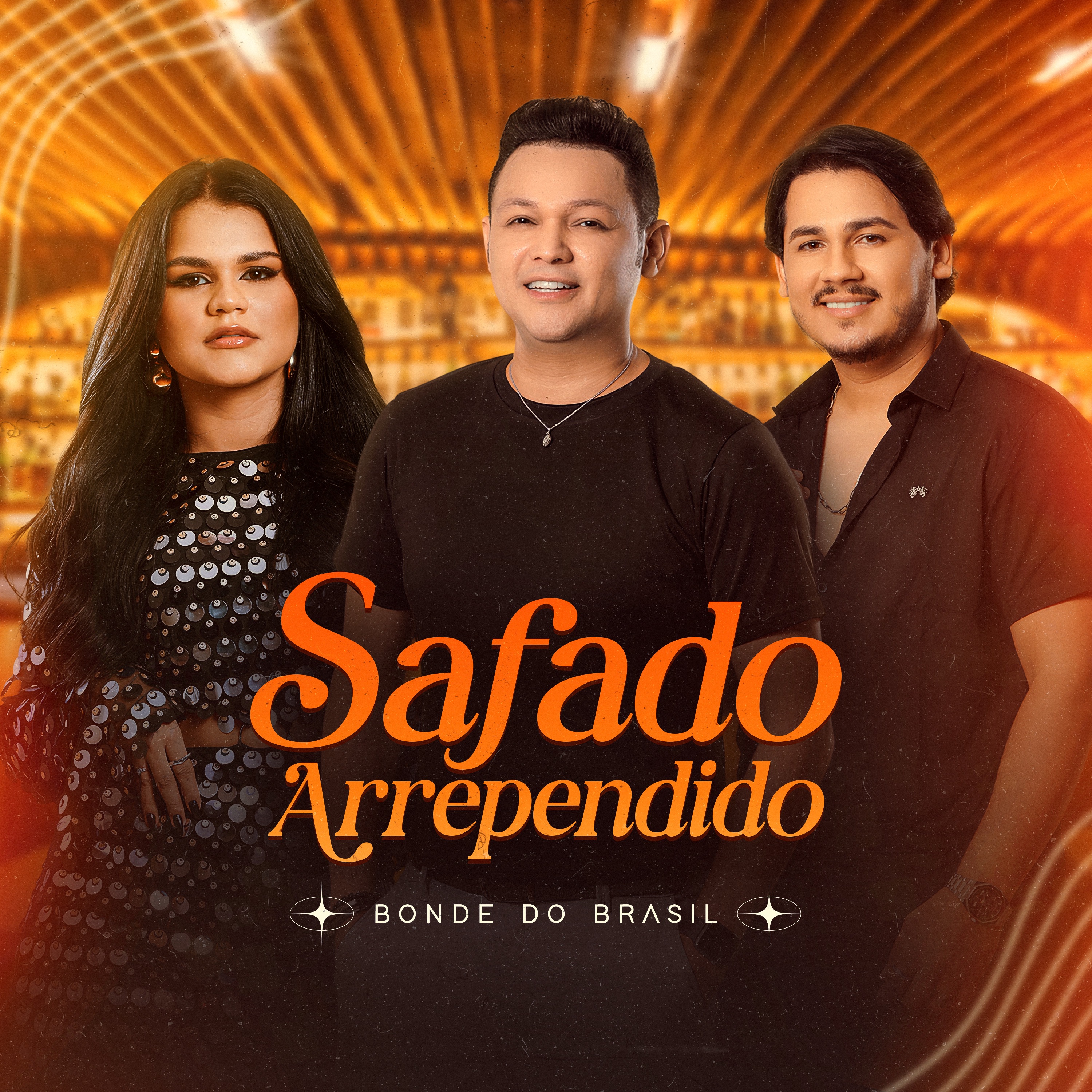 Safado Arrependido - Single
