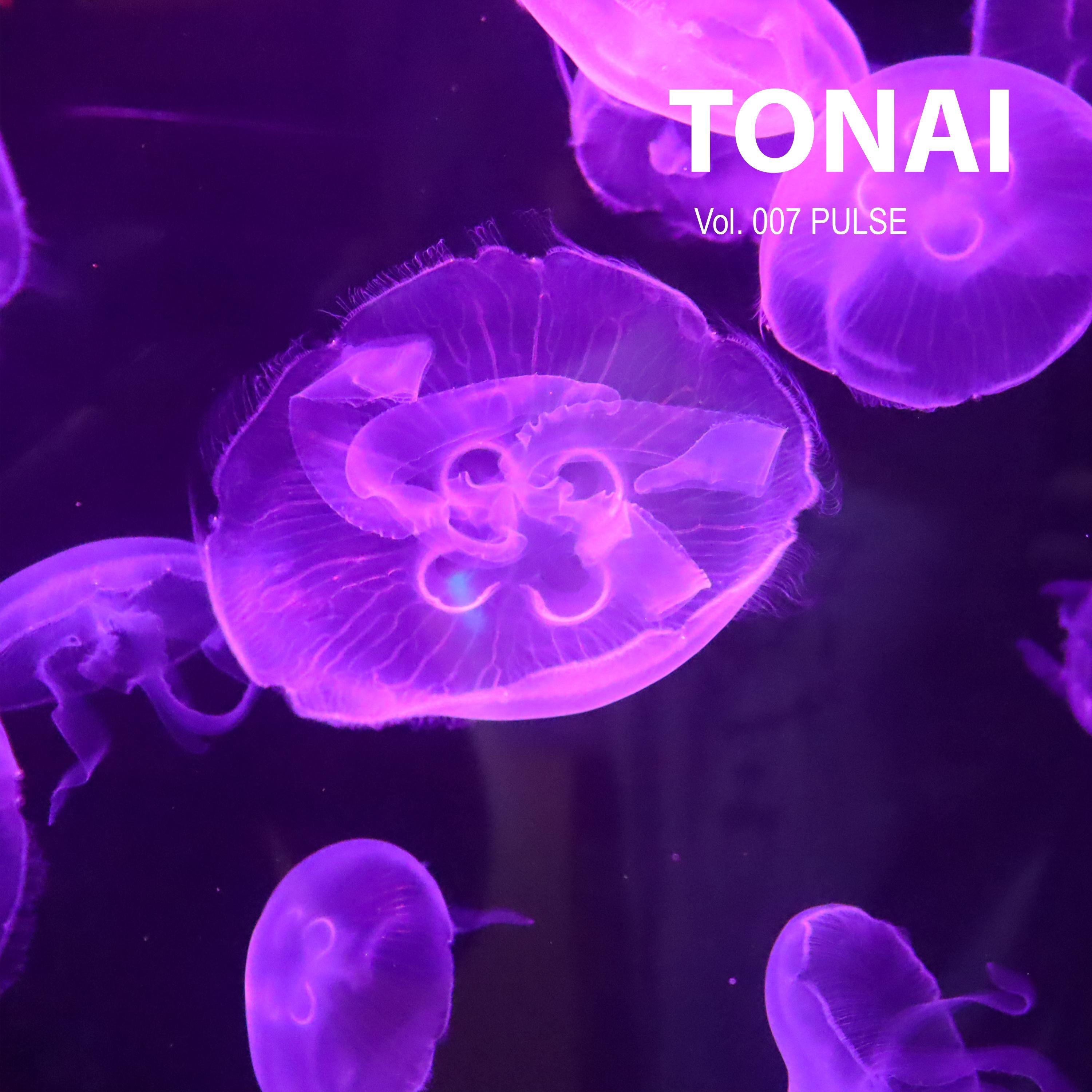 Vol.007 PULSE