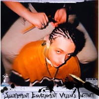 JUDGEMENT ENVIRONMENT VIOLENCE INSTINCT - J.E.V.I PE$CI