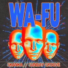 Skanka WA-FU