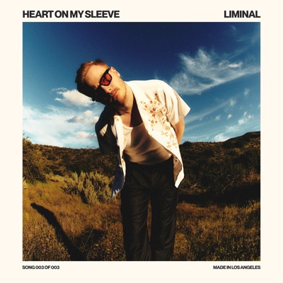 Heart on My Sleeve - Single