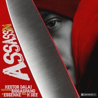 Assassini (feat. Biggaspano, ESSENNE & HDee Beatz) - Single - Hector Dalai