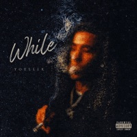 While - Single - Yoell1k