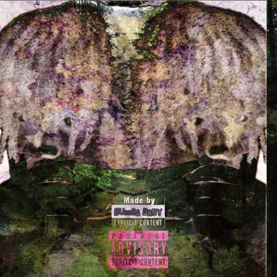 UpAllNight (feat. TRA$e & 2kmadeit) - Single