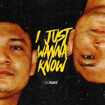 I Just Wanna Know - Single