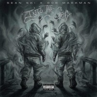 Into the Gray - Single - Sean Ski & Rob Markman