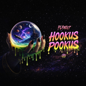 Hookus Pookus song art