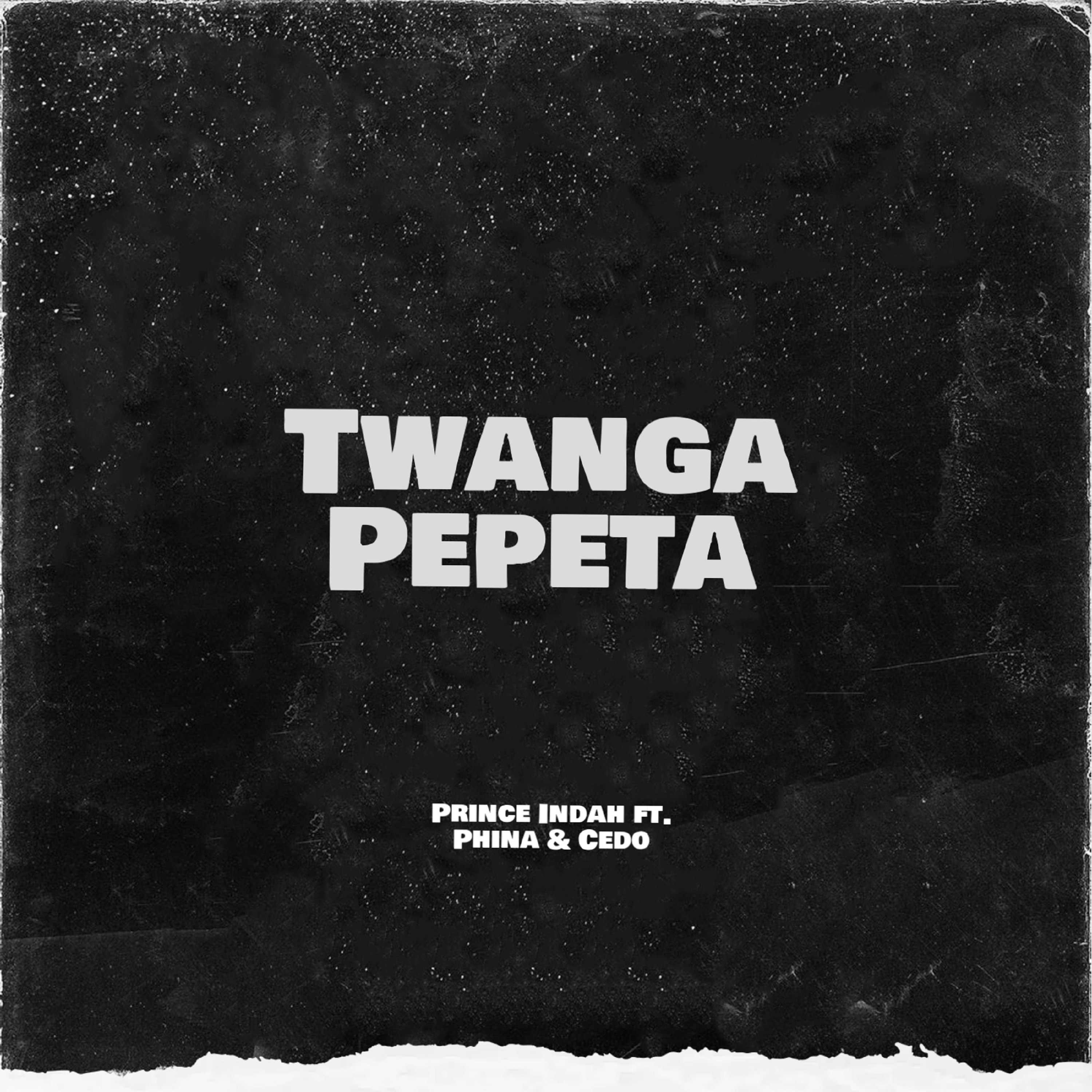 Twanga Pepeta - Single